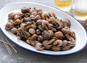 allevamento lumache helix aspersa muller totalmente al naturale nutrite senza utilizzo di sostanze nocive e chimiche coltivate al naturale, spurgate o vendute al naturale. vieni a trovare a Pognano in Bergamo